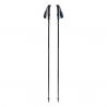 Distance Z Poles Black Diamond (Pewter)