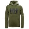 Helly Hansen JR HH LOGO HOODIE 2.0 (431 UTILITY GREEN )