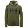 Helly Hansen JR HH LOGO HOODIE 2.0 (431 UTILITY GREEN)