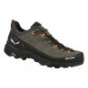 Vandringsskor Salewa ALP TRAINER 2 GTX M (Bungee Cord/Black) Herr