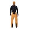 SALEWA SELLA 3L PTX PANT M (golden brown/0910)