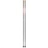 Bâtons de ski nordique SWIX Quantum Q1 pole (noir)