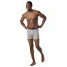 Boxer Smartwool Merino Boxer Brief Boxed (Light Gray Heather) Homme