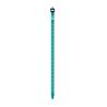 Attache skis G3 Tension Strap 500mm UNIVERSAL (Glide teal)