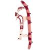 Raquettes à neige TSL Smart S (berry)