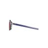 Julbo WALK L (TRANSLU GREY / Spectron 3CF BLUE)