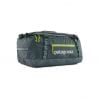 Duffle Bag Patagonia Black Hole Duffel 40L (New Green)