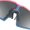 Julbo EDGE (FLUCHTROSEN / BLAU Spectron 3+ + SP0)