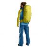 Rucksack Ortovox Peak 45 (dirty daisy)