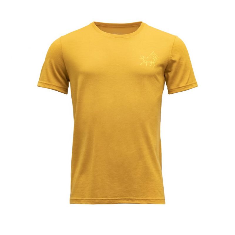 Camiseta Devold SMØRSKREDTIND MERINO 150 TEE MAN (ARROWWOOD) hombre