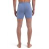 ICEBREAKER M M Core Boxers KYANITE, Medium (KYANITE)