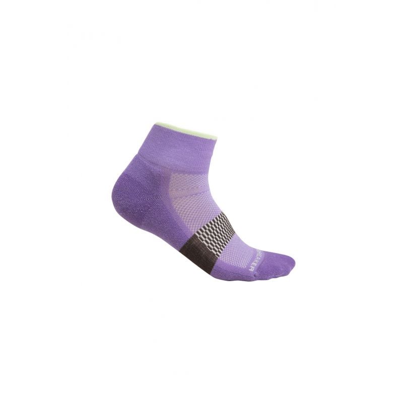 Socken Icebreaker Multisport Ultra Light Mini (Magic/Glazen) Damen