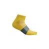 Heren Icebreaker Multisport Ultra Light Mini (Lux/Lucid) Sokken