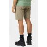 Heren wandelbroek Helly Hansen Brono Softshell Zip Off Pant (Pebble)