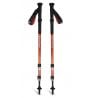 Black Diamond TRAIL BACK TREKKING POLES (Burnt Sienna)
