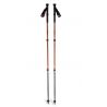 Black Diamond TRAIL BACK TREKKING-POLAR (bränd sienna)