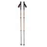 Black Diamond TRAIL BACK TREKKING POLES (Burnt Sienna)