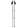 Bastoncini da trekking Black Diamond Explorer 3 (Tundra)