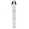 Trekkingsstokken Black Diamond Explorer 3 Trekkingsstokken (Tundra)