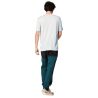 Picture SHOONER STRETCH PANTS (B Diep water)