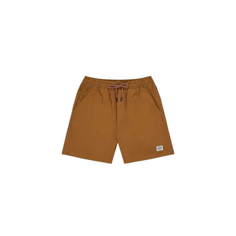 Pantalones cortos de senderismo Picture DAVERSON SHORTS (Chocolate) Men's