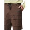 Picture ROBUST SHORTS (B Potting soil)