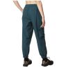 Picture PLESSUR STRETCH PANTS (B Deep Water)