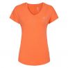 Dare2B Vigilant Tee (stroomdraad)