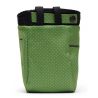 Sac à magnésie BLACK DIAMOND Gym Chalk Bag (Palm Green)