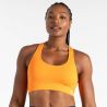 Brassière DARE2B Don't sweat it Bra (Live Wire) Femme