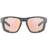 Julbo SHIELD M (TUMMANHARMAA / PASTELLINVIHREÄ REACTIV Glare Control 1-3)
