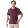 Smartwool Perfect Crew kortärmad t-shirt för män EGGPLANT ( MEDIUM PURPLE)