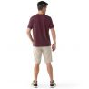 Smartwool Men's Perfect Crew Kortermet T-skjorte for menn EGGPLANT (MEDIUM PURPLE)