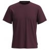 Smartwool Men's Perfect Crew Short Sleeve Tee Apparel EGGPLANT ( MEDIUM PURPLE)