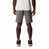 Pantalones cortos de senderismo Columbia Triple Canyon Short II (City Grey) Men's