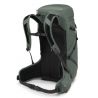 Osprey Sportlite 30 (tallbladsgrön)