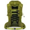 Osprey Talon Velocity 20 (Matcha Green/Lemong) Men's hiking bag