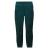Klatrebukser for kvinner Prana Kanab Pant (Wilderness)