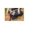 Tursekk Gregory Stout 55 eu (FOREST BLACK) Mann