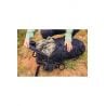 Borsa da trekking Gregory Stout 55 eu (FOREST BLACK) Uomo
