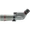 Visor terrestre Bushnell nitro 20-60x65 angular