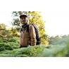 Ortlieb Atrack PS33 35 L (dark sand)