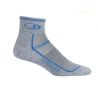 Heren Icebreaker Multisport Ultra Light Mini (Kyanite/Graphite) Sokken