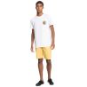 QUIKSILVER Everyday Chino Shorts (Rattan) Mænd