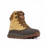 Støvler Columbia EXPEDITIONIST SHIELD V2 (Deep Olive, Desert Sun) Mand