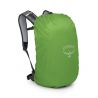 Mochila Osprey Hikelite 26 (verde escapada)
