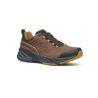 Wandelschoenen Scarpa Rush 2 Pro GORETEX (Bruin Zwavel) Heren