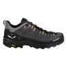 Salewa ALP TRAINER 2 GTX M (Onyx/Musta)
