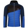 Veste hybride DARE2B Veste Touring Hybrid (Olympian Blue/MnltD) homme