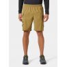 Shorts Helly Hansen Vista Hike Cargo Shorts (Lynx) for menn